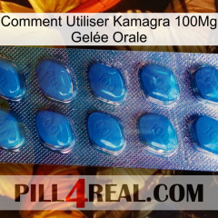 Comment Utiliser Kamagra 100Mg Gelée Orale viagra1